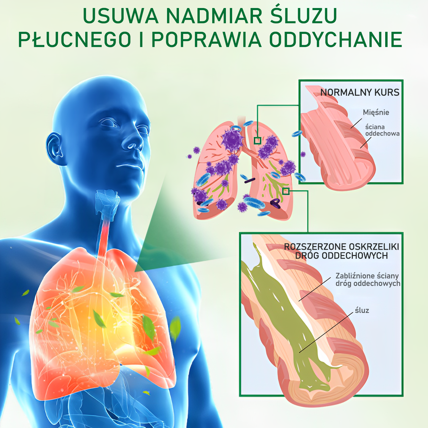Gooyeer™ Zaawansowany spray do oczyszczania płuc – 🫁 zdrowe płuca, wsparcie odporności, detoksykacja i łatwiejsze oddychanie – Certyfikat CE