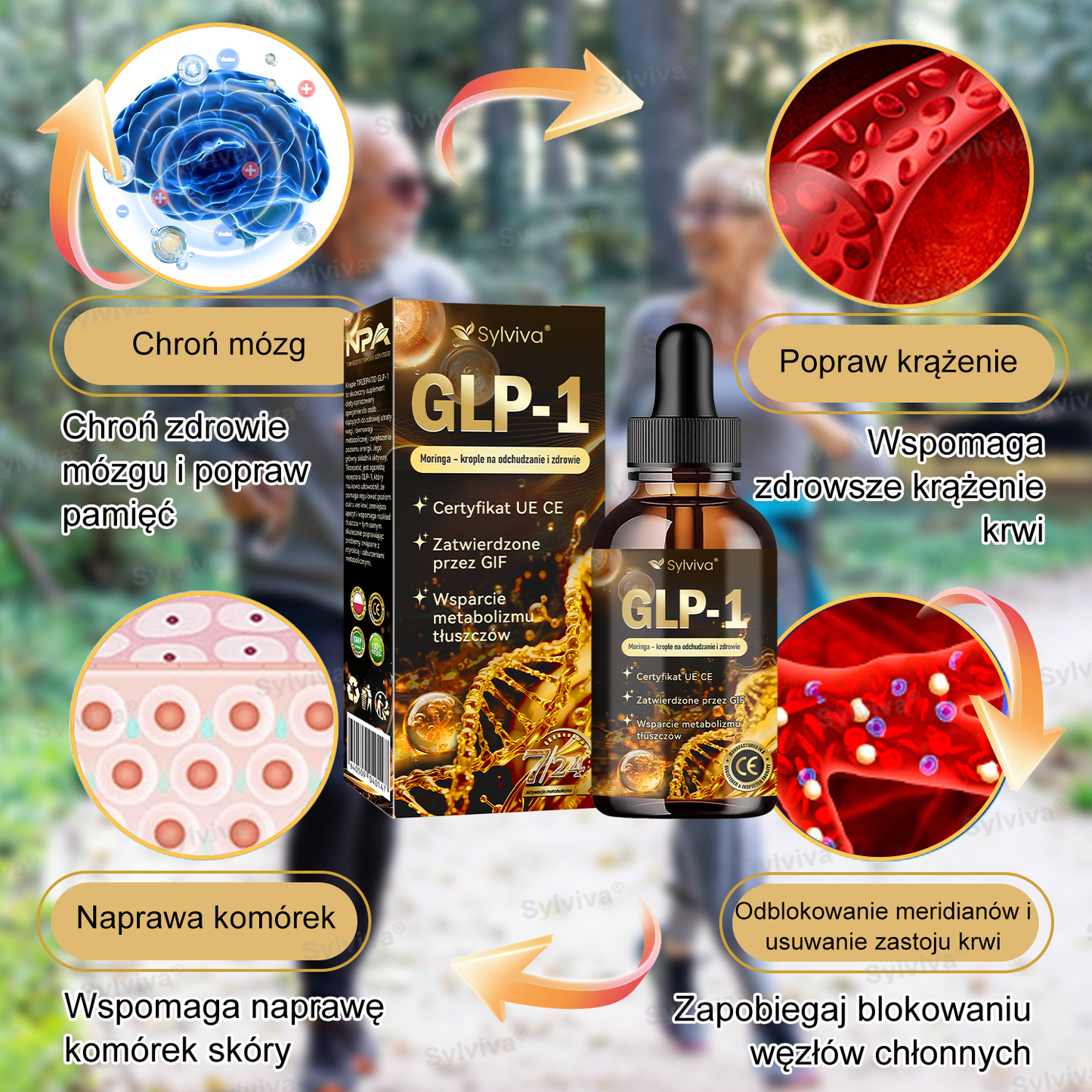 🔥Polecane przez Klinikę Mayo | Oficjalny sklep | Sylviva® GLP-1 Moringa – krople na odchudzanie i zdrowie 🔥 (Spalacz tłuszczu o jakości spożywczej – opracowany przez Towarzystwo Otyłości)